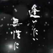 ヒメ日記 2026/06/23 11:00 投稿 やまと 奥鉄オクテツ兵庫