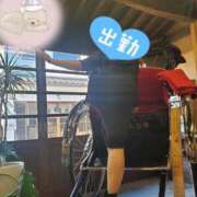 ヒメ日記 2024/12/19 09:42 投稿 ぱるこ 熟女家 梅田店