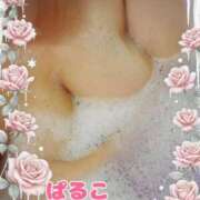 ヒメ日記 2026/02/10 18:37 投稿 ぱるこ 熟女家 梅田店