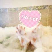 ヒメ日記 2026/02/24 08:38 投稿 ぱるこ 熟女家 梅田店