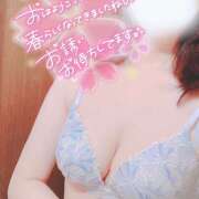 ヒメ日記 2025/04/09 11:34 投稿 南野のどか ミセスハンズ