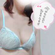 ヒメ日記 2025/04/23 09:53 投稿 南野のどか ミセスハンズ