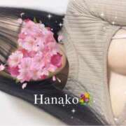 ヒメ日記 2025/06/27 12:21 投稿 高嶺 花子 RAO-ラオウ-