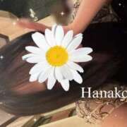 ヒメ日記 2026/01/14 13:51 投稿 高嶺 花子 RAO-ラオウ-