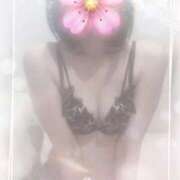 ヒメ日記 2025/07/17 21:57 投稿 まりえ サンクチュアリ(上野)