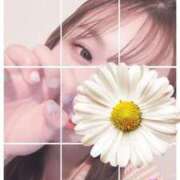 ヒメ日記 2025/09/12 19:03 投稿 南沢 まどか 大阪貴楼館