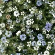 ヒメ日記 2026/03/26 22:07 投稿 ことね リッチドールフェミニン