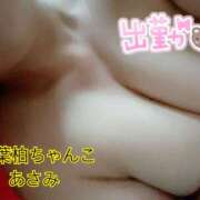 ヒメ日記 2025/03/18 15:48 投稿 あさみ 千葉柏ちゃんこ