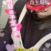 ヒメ日記 2025/03/25 20:15 投稿 あさみ 千葉柏ちゃんこ