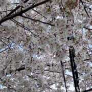 ヒメ日記 2025/04/07 13:13 投稿 あさみ 千葉柏ちゃんこ