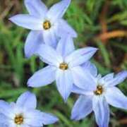 ヒメ日記 2025/04/30 14:40 投稿 あさみ 千葉柏ちゃんこ