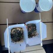 ヒメ日記 2025/07/25 19:07 投稿 あさみ 千葉柏ちゃんこ