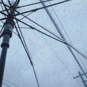 ヒメ日記 2025/08/10 17:10 投稿 あさみ 千葉柏ちゃんこ