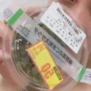 ヒメ日記 2025/09/21 02:29 投稿 あさみ 千葉柏ちゃんこ