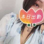 ヒメ日記 2025/10/24 15:02 投稿 あさみ 千葉柏ちゃんこ