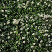 ヒメ日記 2025/05/07 19:51 投稿 せな 千葉柏ちゃんこ