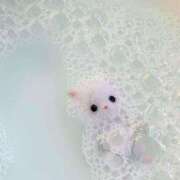 ヒメ日記 2025/03/10 13:21 投稿 てんか 今から乳首を犯しにいってもいいですか？大阪店