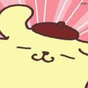 ヒメ日記 2025/05/12 13:06 投稿 てんか 今から乳首を犯しにいってもいいですか？大阪店