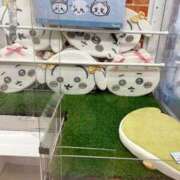 ヒメ日記 2025/07/30 12:51 投稿 てんか 今から乳首を犯しにいってもいいですか？大阪店