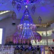 ヒメ日記 2025/11/16 22:21 投稿 てんか 今から乳首を犯しにいってもいいですか？大阪店