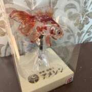 ヒメ日記 2025/10/11 09:09 投稿 さら ハイブリッドヘルス小岩中央