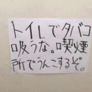 ヒメ日記 2026/02/25 17:19 投稿 さら ハイブリッドヘルス小岩中央