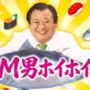ヒメ日記 2026/04/17 06:49 投稿 さら ハイブリッドヘルス小岩中央