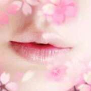 ヒメ日記 2024/12/19 01:05 投稿 こい 甲府人妻隊