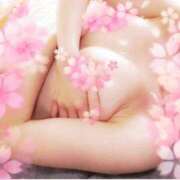 ヒメ日記 2024/12/20 00:16 投稿 こい 甲府人妻隊