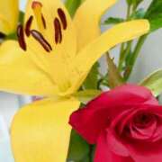 ヒメ日記 2025/06/13 12:16 投稿 える 甲府人妻隊