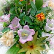 ヒメ日記 2025/06/17 17:06 投稿 える 甲府人妻隊