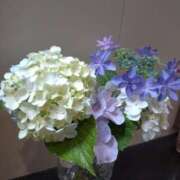 ヒメ日記 2025/06/19 17:13 投稿 える 甲府人妻隊