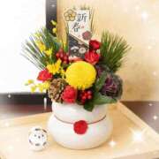 ヒメ日記 2026/01/02 11:48 投稿 える 甲府人妻隊