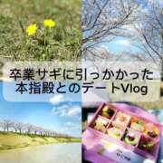 ヒメ日記 2025/04/05 17:41 投稿 無敵 叶［P］ モンテクラブ