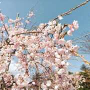 ヒメ日記 2025/04/10 22:33 投稿 マリン Celeb Garden(セレブガーデン)