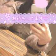 ヒメ日記 2025/10/30 21:03 投稿 マリン Celeb Garden(セレブガーデン)