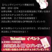 ヒメ日記 2025/02/13 16:37 投稿 みさき ハンドキャンパス新宿