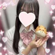 ヒメ日記 2025/12/31 15:00 投稿 みさき ハンドキャンパス新宿