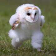 ヒメ日記 2025/05/19 07:32 投稿 まこと One More奥様　町田相模原店