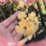 ヒメ日記 2025/04/21 12:00 投稿 るか 若妻淫乱倶楽部 古河店