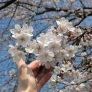 ヒメ日記 2026/03/29 15:59 投稿 るか 若妻淫乱倶楽部 古河店