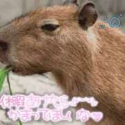 ヒメ日記 2026/05/20 19:36 投稿 るか 若妻淫乱倶楽部 古河店