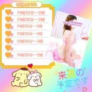 ヒメ日記 2025/05/31 01:04 投稿 るか 若妻淫乱倶楽部 久喜店