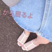 ヒメ日記 2025/09/09 17:37 投稿 るか 若妻淫乱倶楽部 久喜店