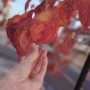 ヒメ日記 2025/11/03 15:00 投稿 るか 若妻淫乱倶楽部 久喜店