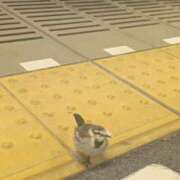 ヒメ日記 2026/01/15 20:48 投稿 るか 若妻淫乱倶楽部 久喜店