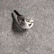 ヒメ日記 2026/03/04 05:31 投稿 るか 若妻淫乱倶楽部 久喜店