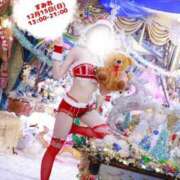 ヒメ日記 2024/12/15 00:19 投稿 すみれ 新宿プチドール