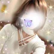 ヒメ日記 2025/02/14 15:49 投稿 すみれ 新宿プチドール