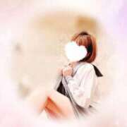 ヒメ日記 2025/03/23 12:31 投稿 すみれ 新宿プチドール